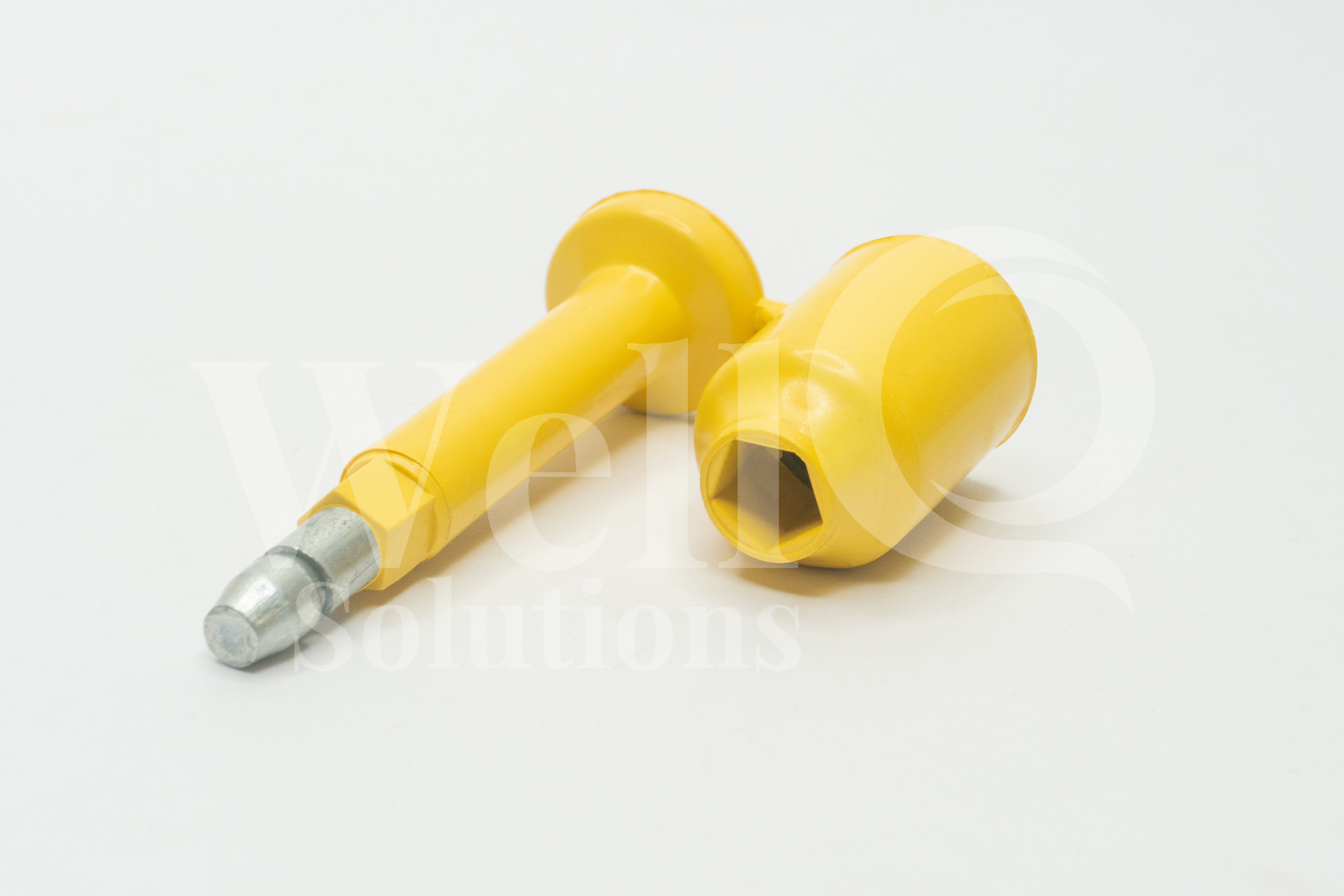 Bolt Seal
